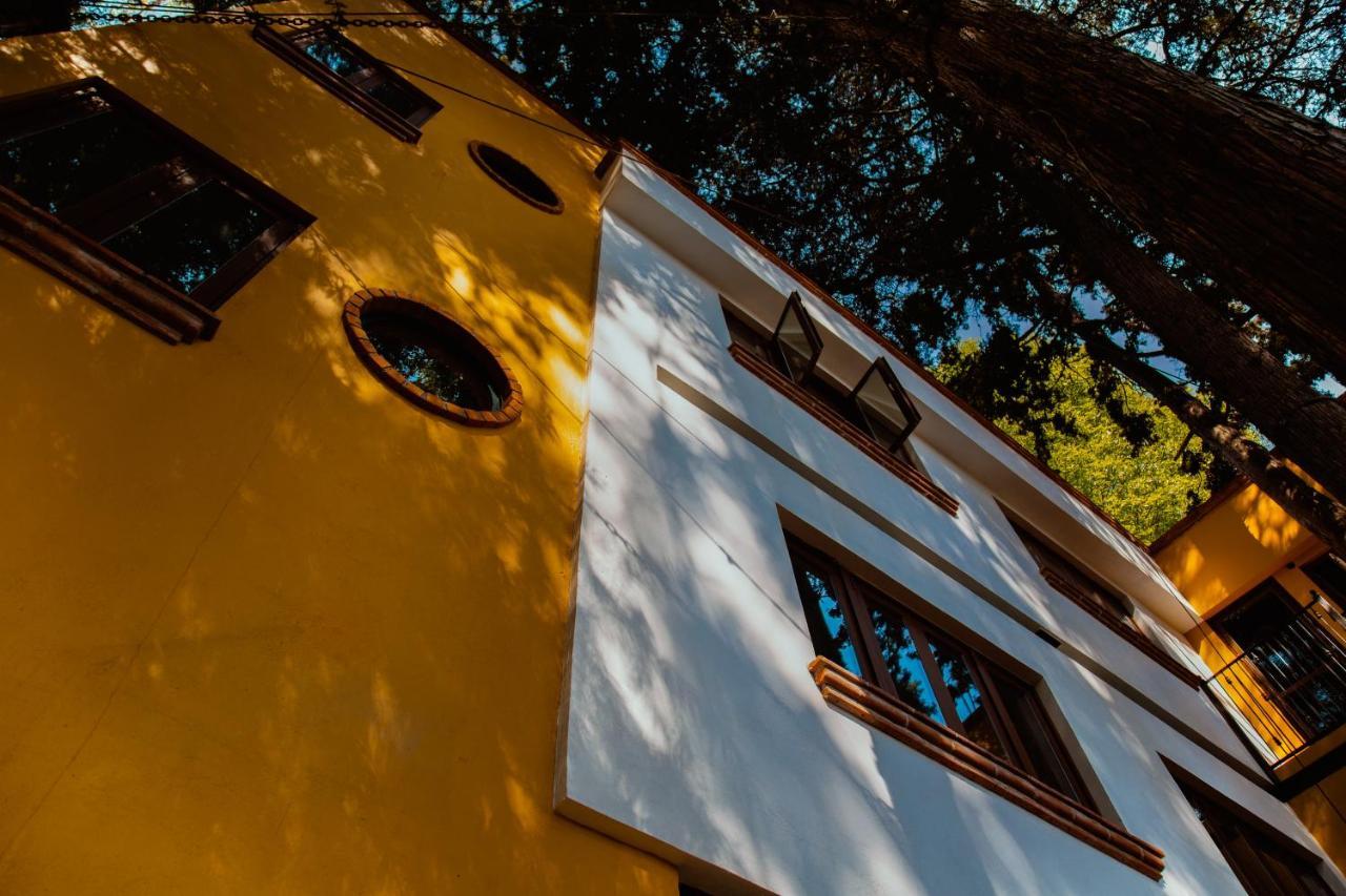 Casa Jacinta Guest House Mexico City Exterior photo